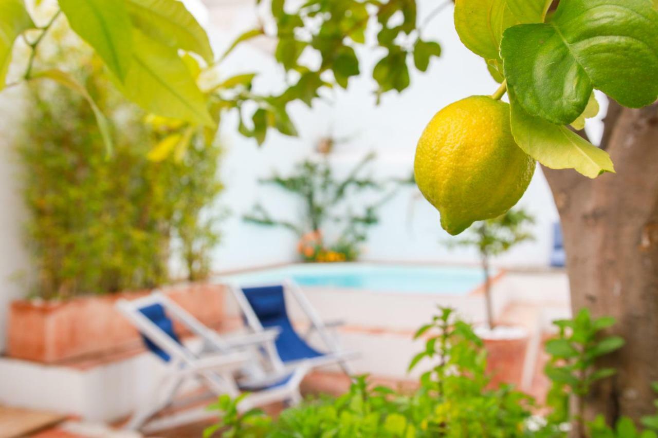 Sao Paulo Boutique Hotel - Spbh Tavira Kültér fotó